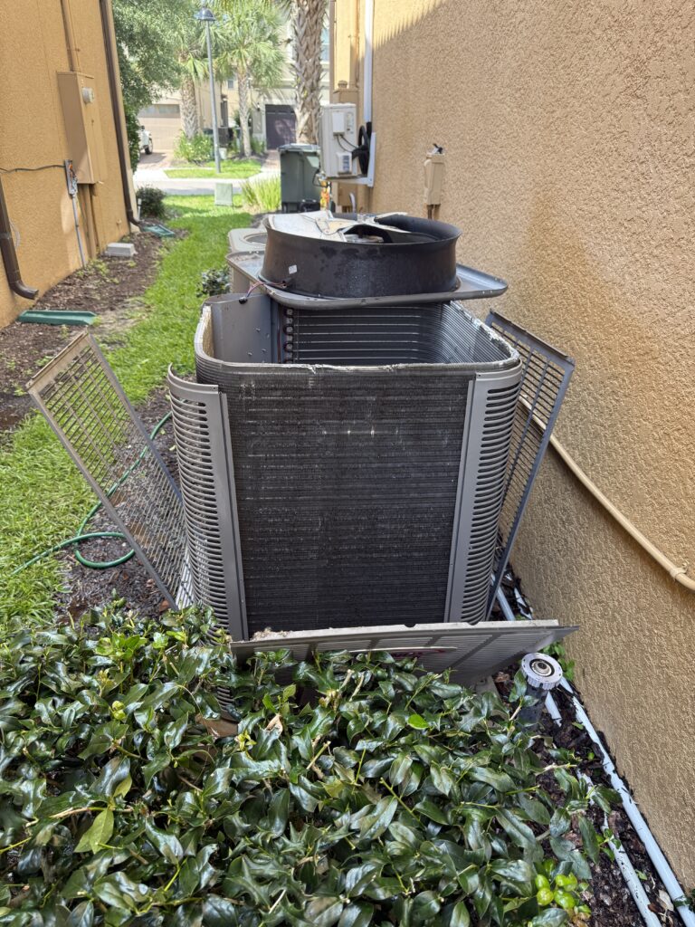 How to Lower Humidity Inside Your Home Naturally