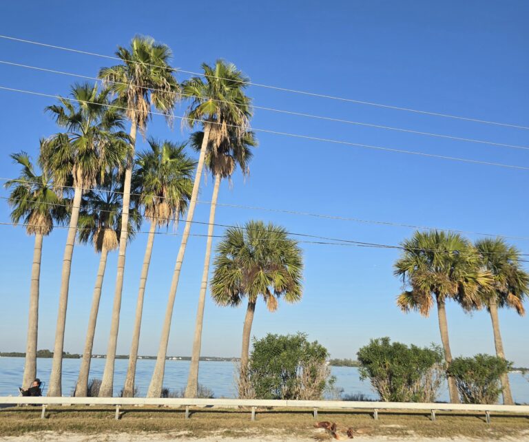 Cold Snaps in Florida: Is Your System Ready?