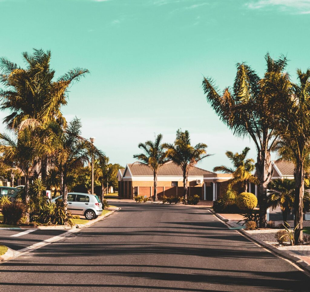 Tranquil suburban street lined with palm trees on a sunny day.